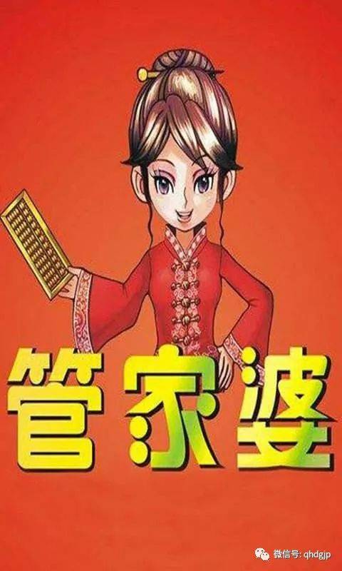 全面推广澳门管家婆100%精准，深度解析与实施策略