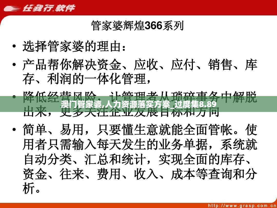 澳门管家婆100%精准，深度解析与实战应用